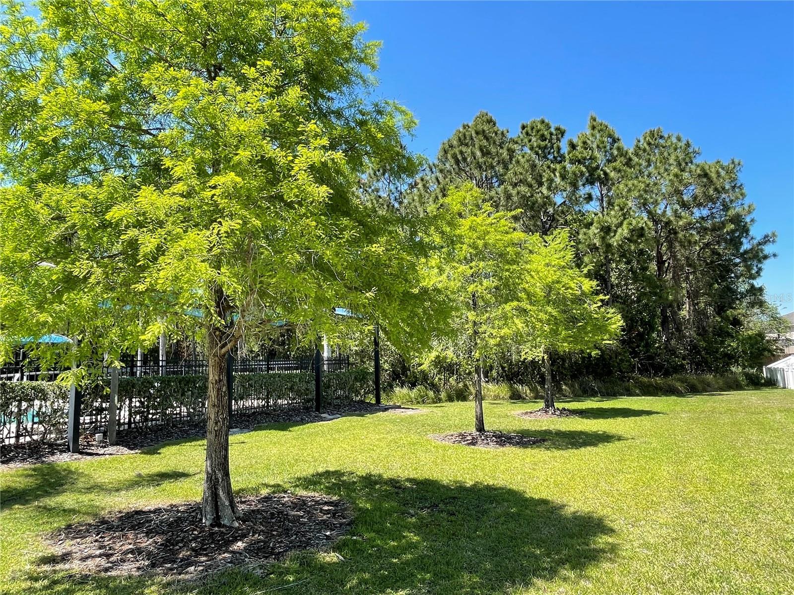 9978 BENNINGTON CHASE DR, ORLANDO, FL, 32829