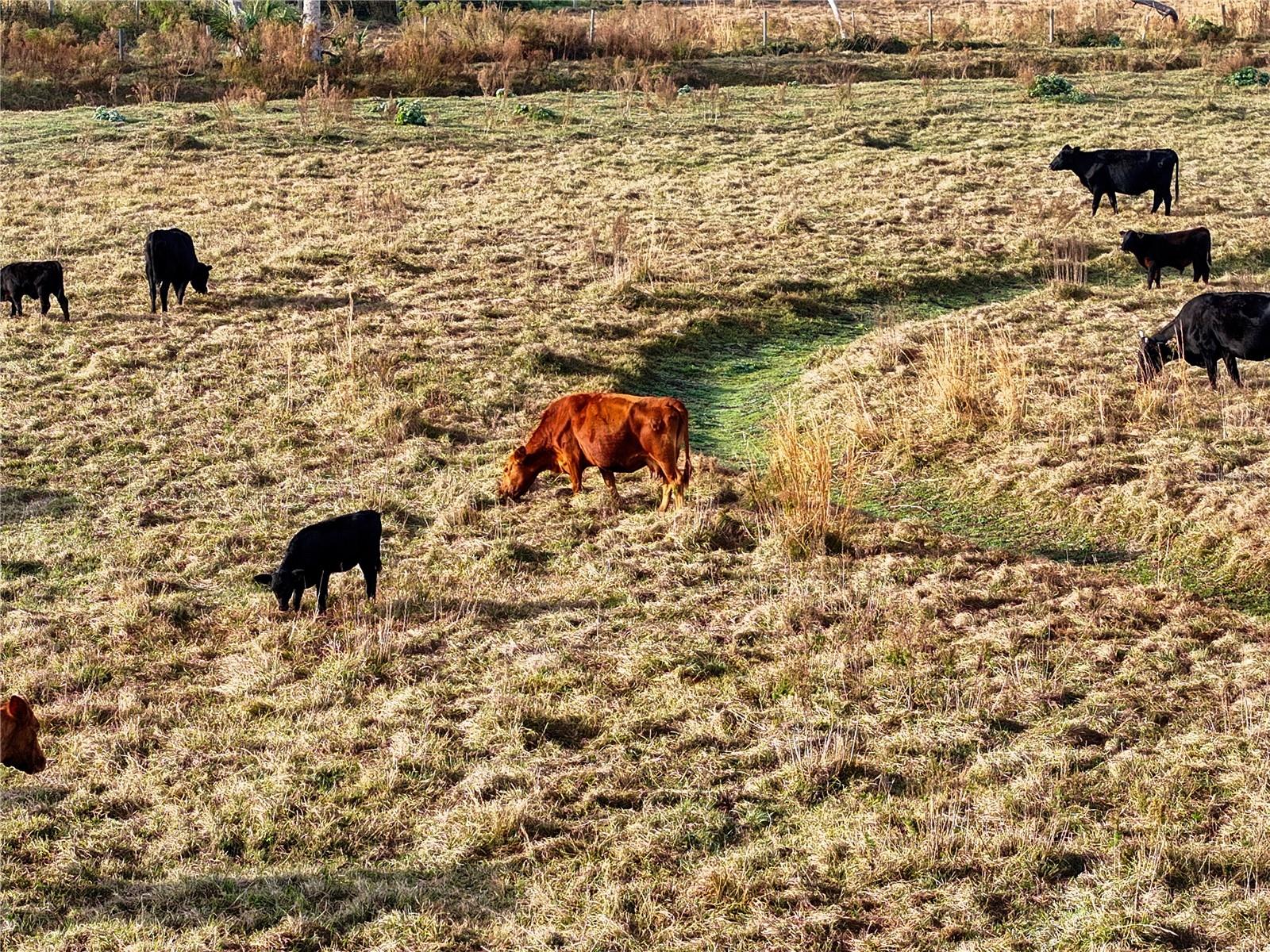 8765 DAYBREAK ST, SARASOTA, FL, 34241