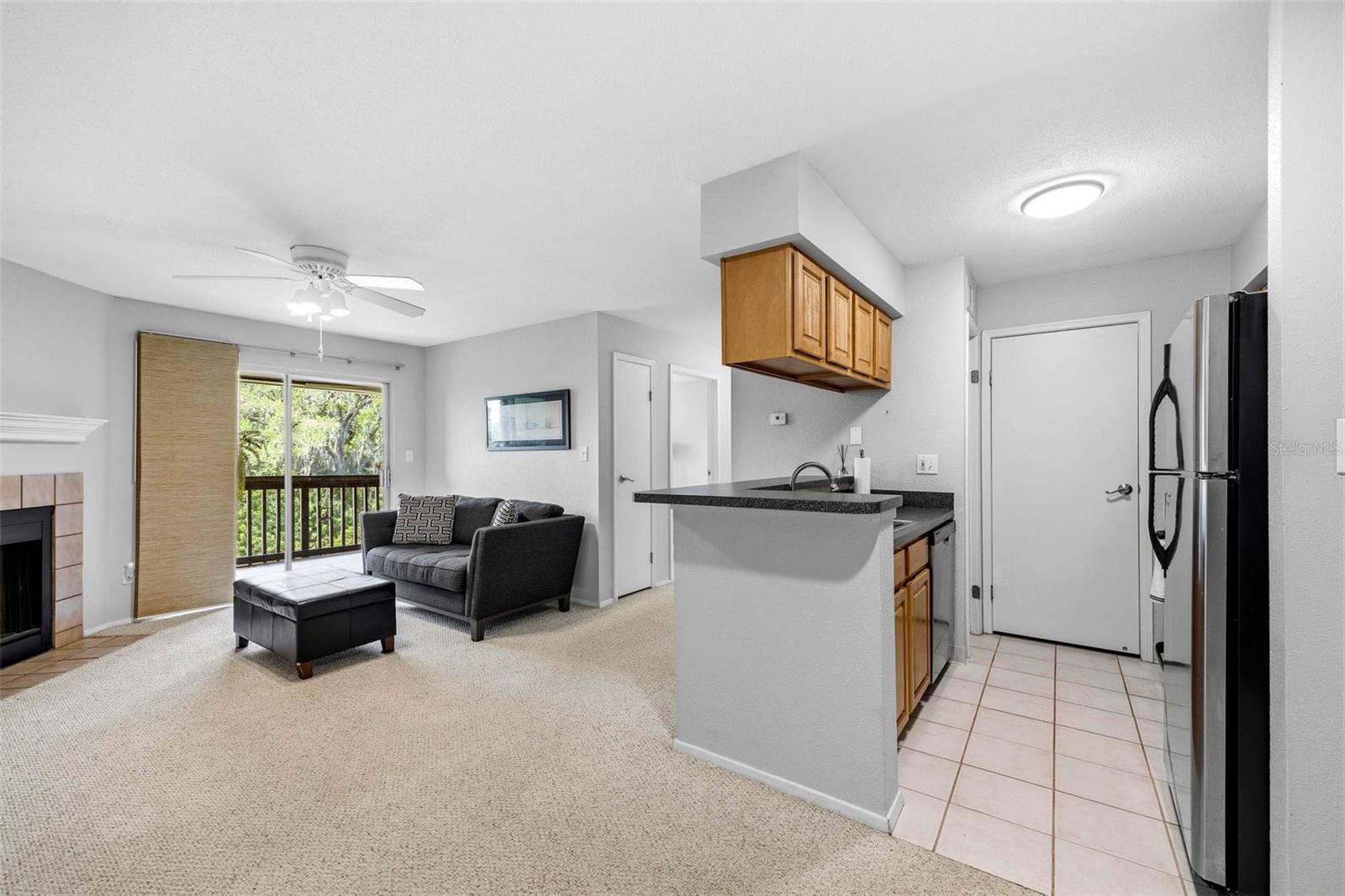 Living Room and Kitchen