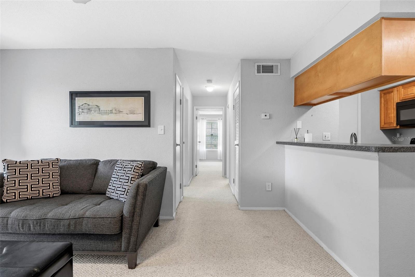 Hallway to Bedrooms and Bathroom