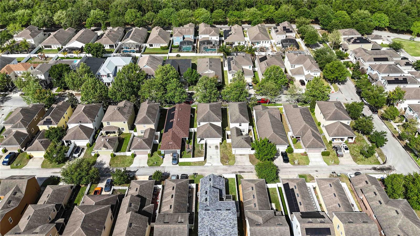 3209 BAYFLOWER AVE, ST CLOUD, FL, 34773