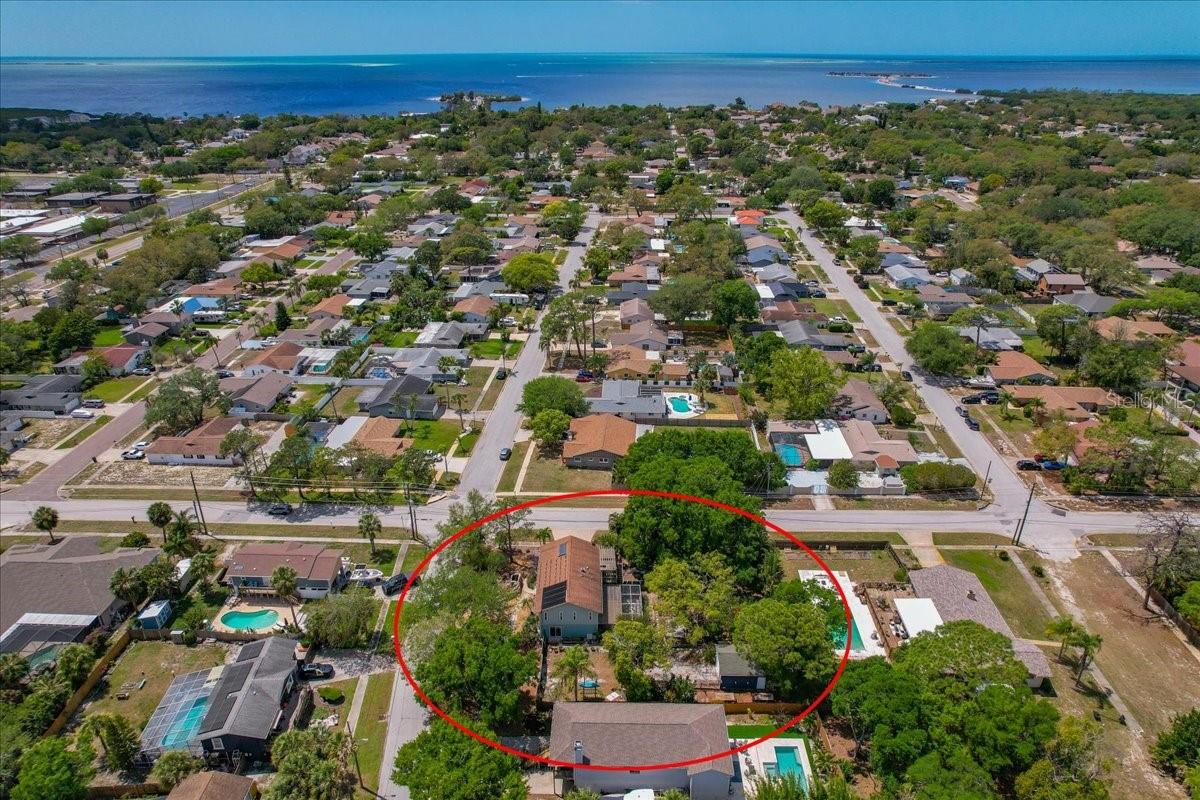 1314 OLEANDER DR, TARPON SPRINGS, FL, 34689