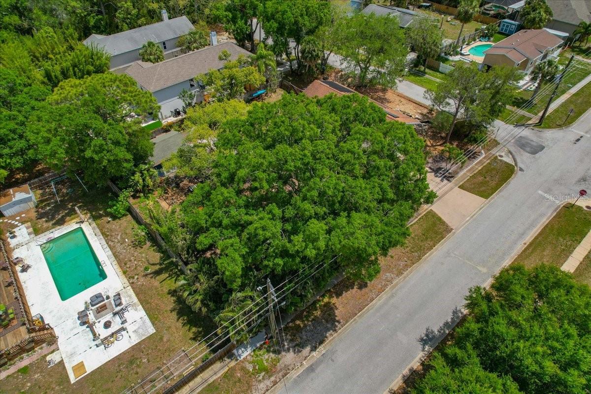 1314 OLEANDER DR, TARPON SPRINGS, FL, 34689