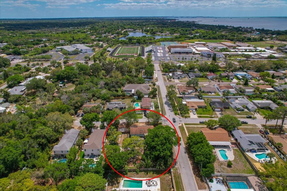 1314 OLEANDER DR, TARPON SPRINGS, FL, 34689