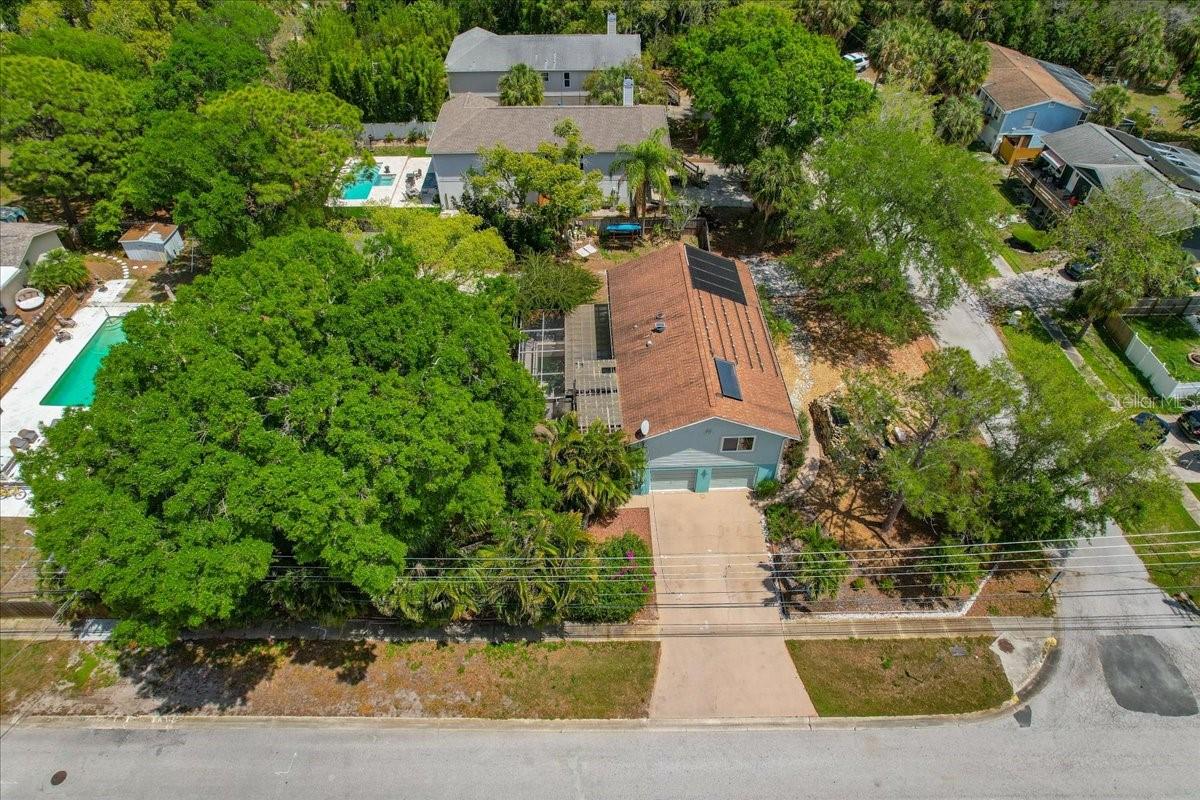 1314 OLEANDER DR, TARPON SPRINGS, FL, 34689