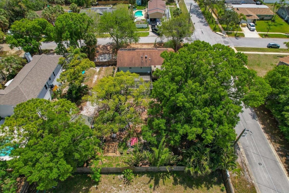 1314 OLEANDER DR, TARPON SPRINGS, FL, 34689