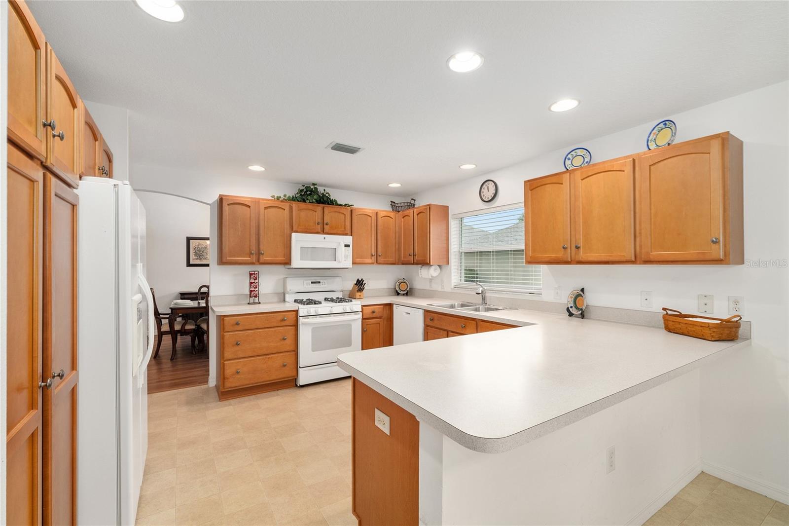 7241 SE 172ND HAZELWOOD LOOP, THE VILLAGES, FL, 32162