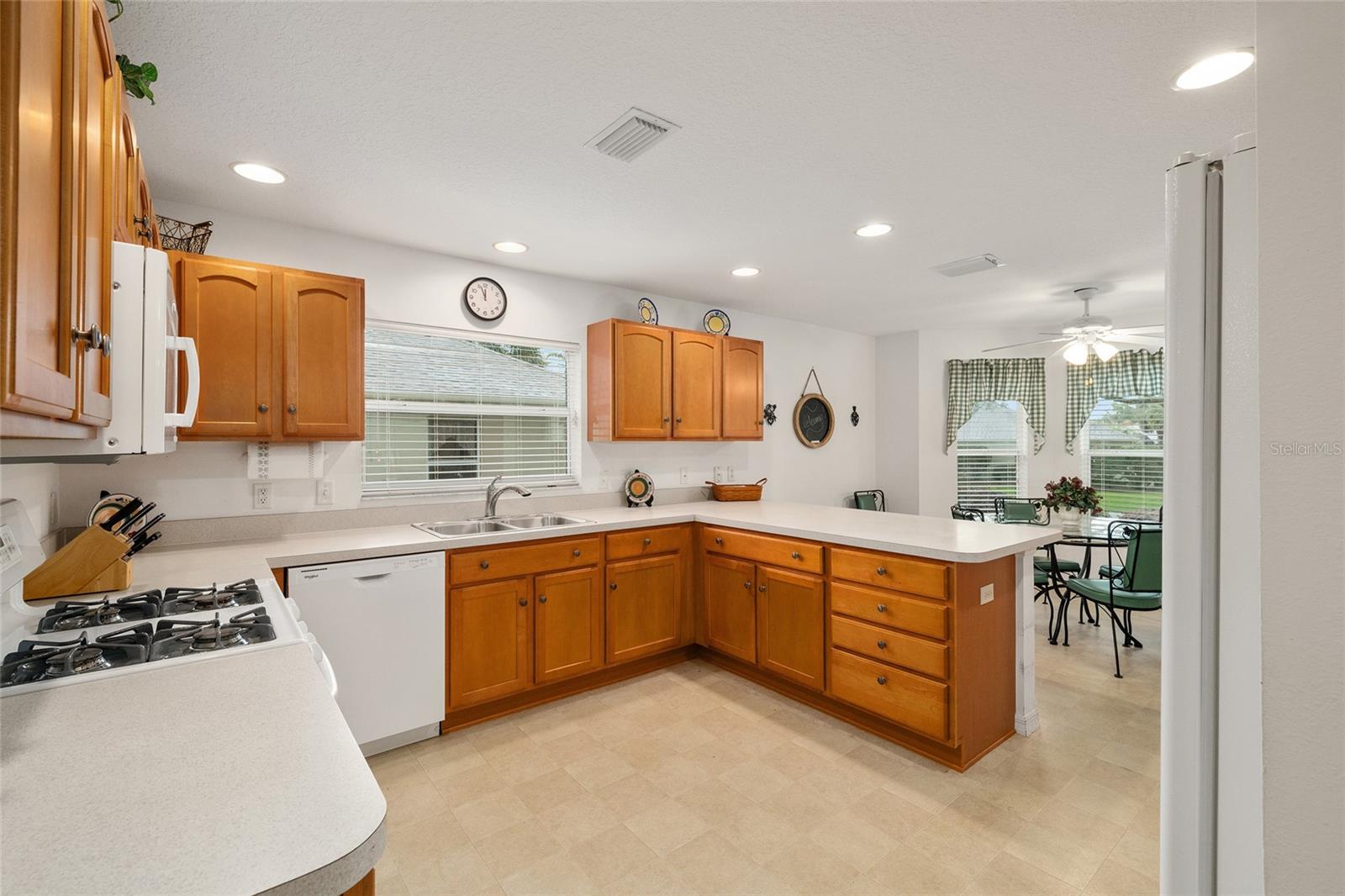 7241 SE 172ND HAZELWOOD LOOP, THE VILLAGES, FL, 32162