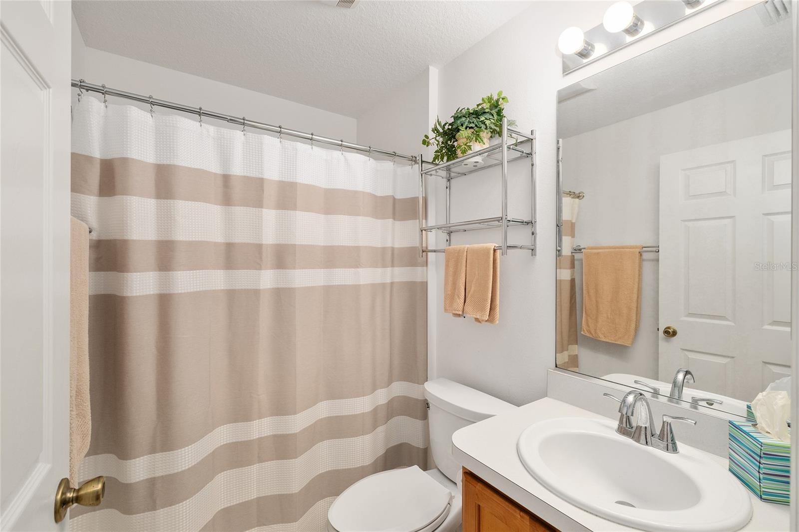 7241 SE 172ND HAZELWOOD LOOP, THE VILLAGES, FL, 32162