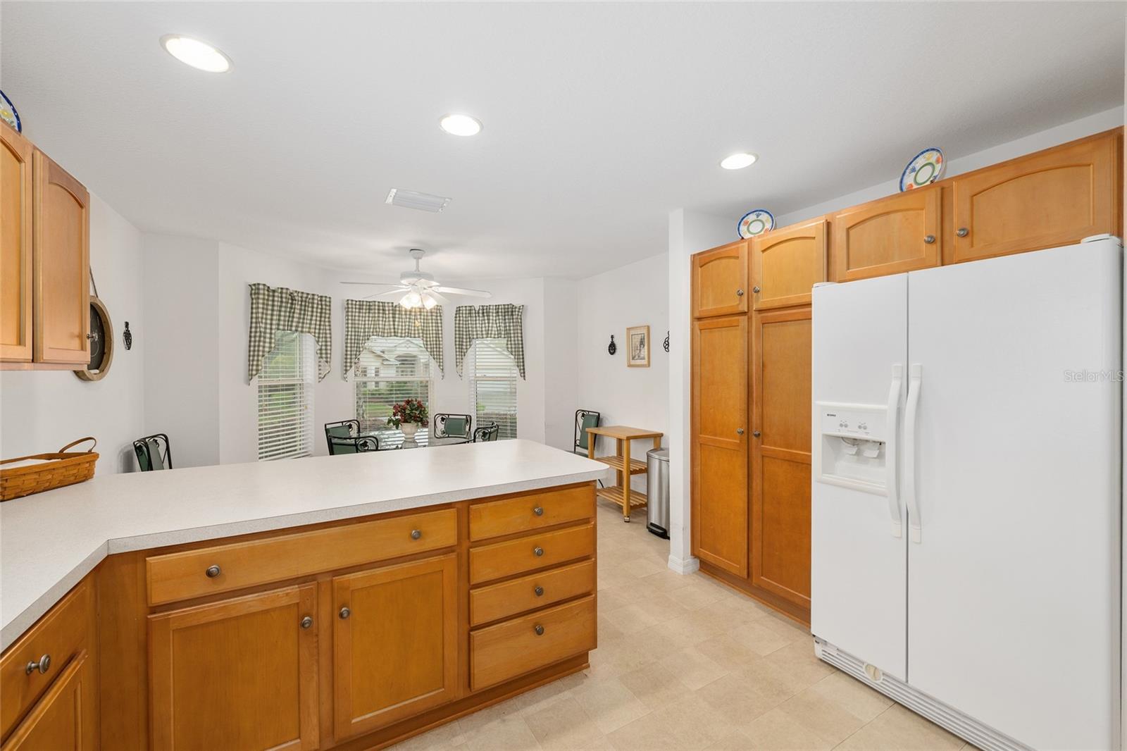 7241 SE 172ND HAZELWOOD LOOP, THE VILLAGES, FL, 32162