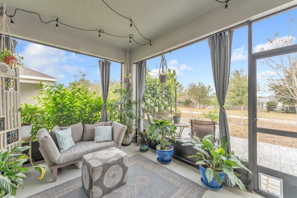 8045 PENROSE PL, WILDWOOD, FL, 34785
