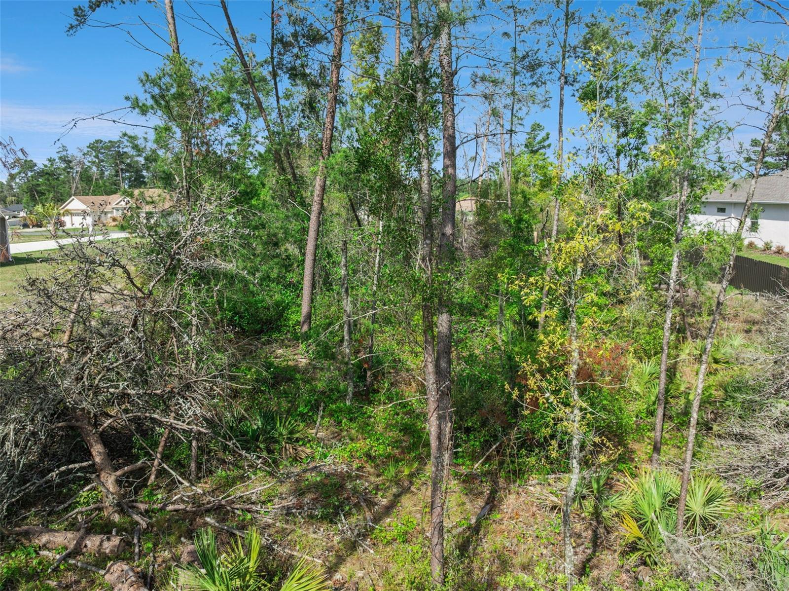 4980 SOUTHWEST 106TH STREET, OCALA, FL, 34476