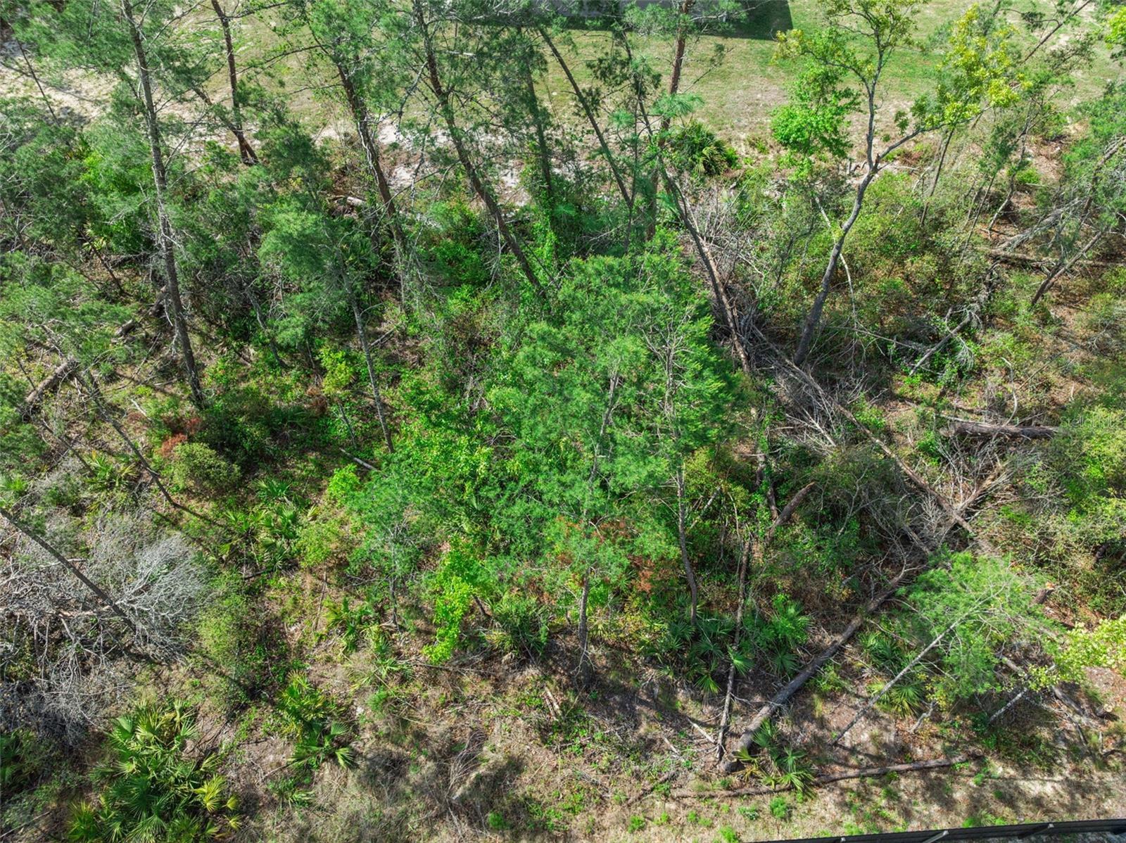 4980 SOUTHWEST 106TH STREET, OCALA, FL, 34476