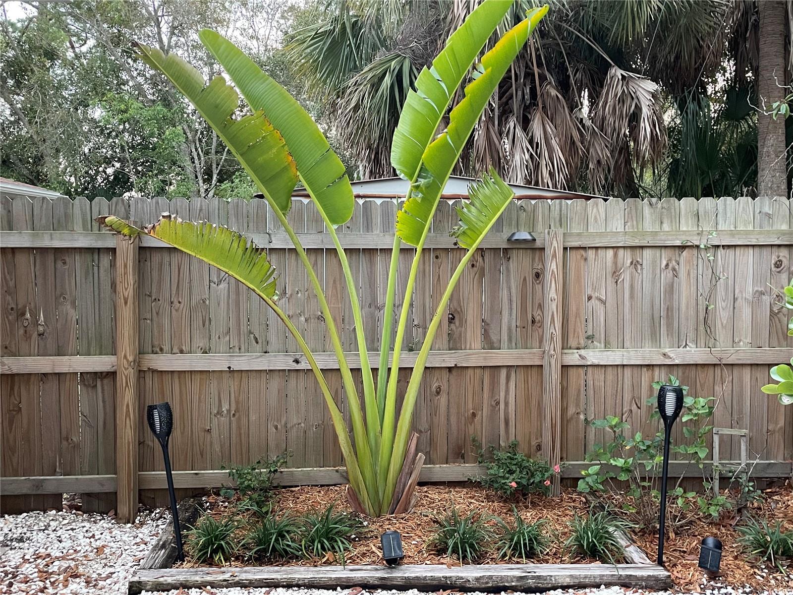 828 S TUTTLE AVE #B, SARASOTA, FL, 34237