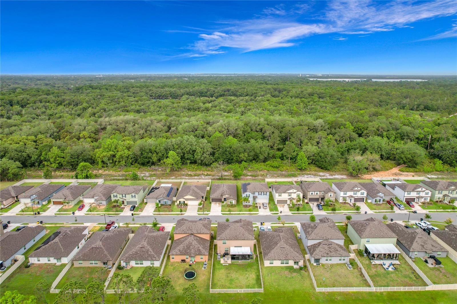 1699 RED LOOP, LAKELAND, FL, 33801