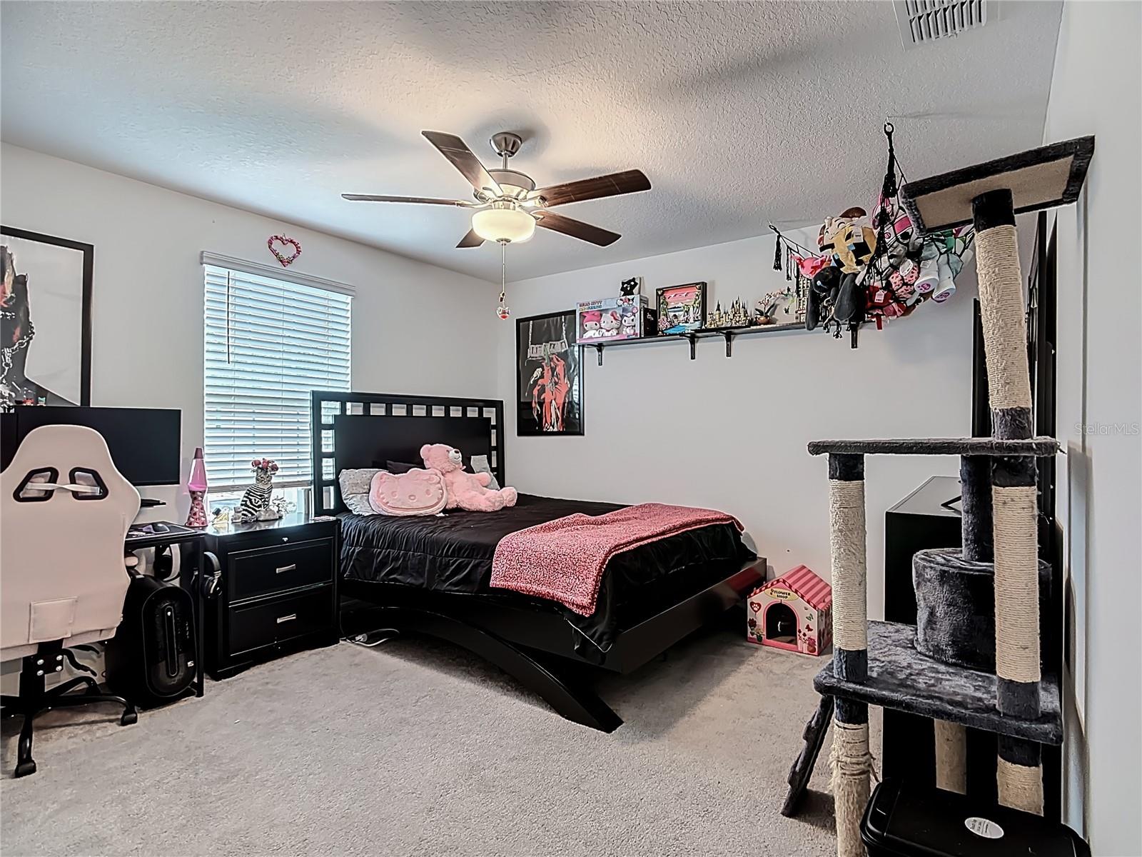 1699 RED LOOP, LAKELAND, FL, 33801