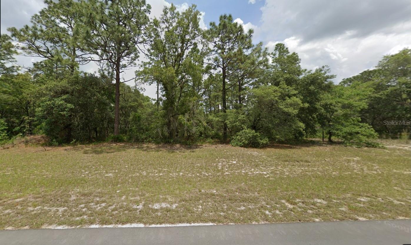 0 138TH ST ST #Lot 9, OCALA, FL, 34473