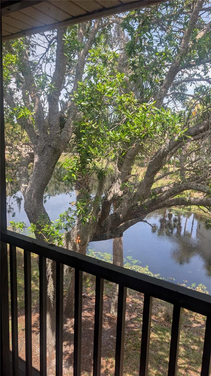 19 RIVER LANDING DR, PALM COAST, FL, 32137