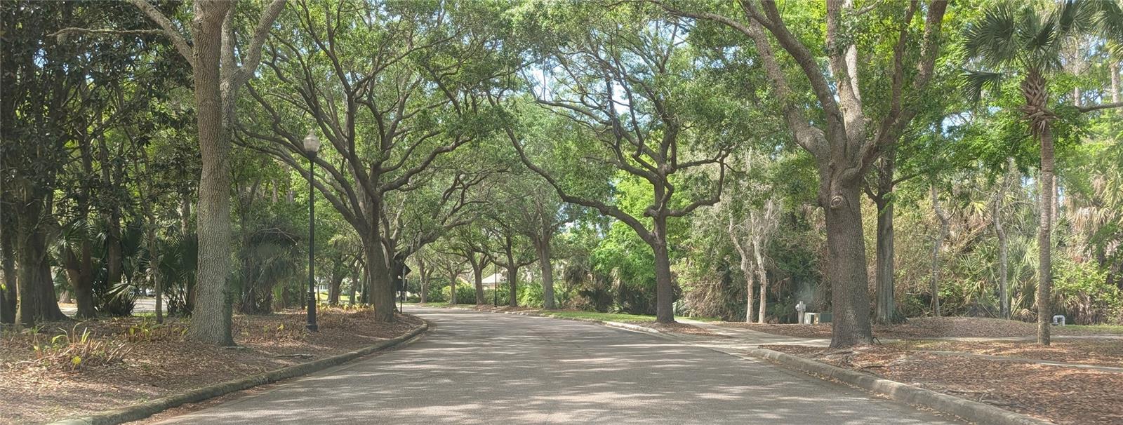 19 RIVER LANDING DR, PALM COAST, FL, 32137