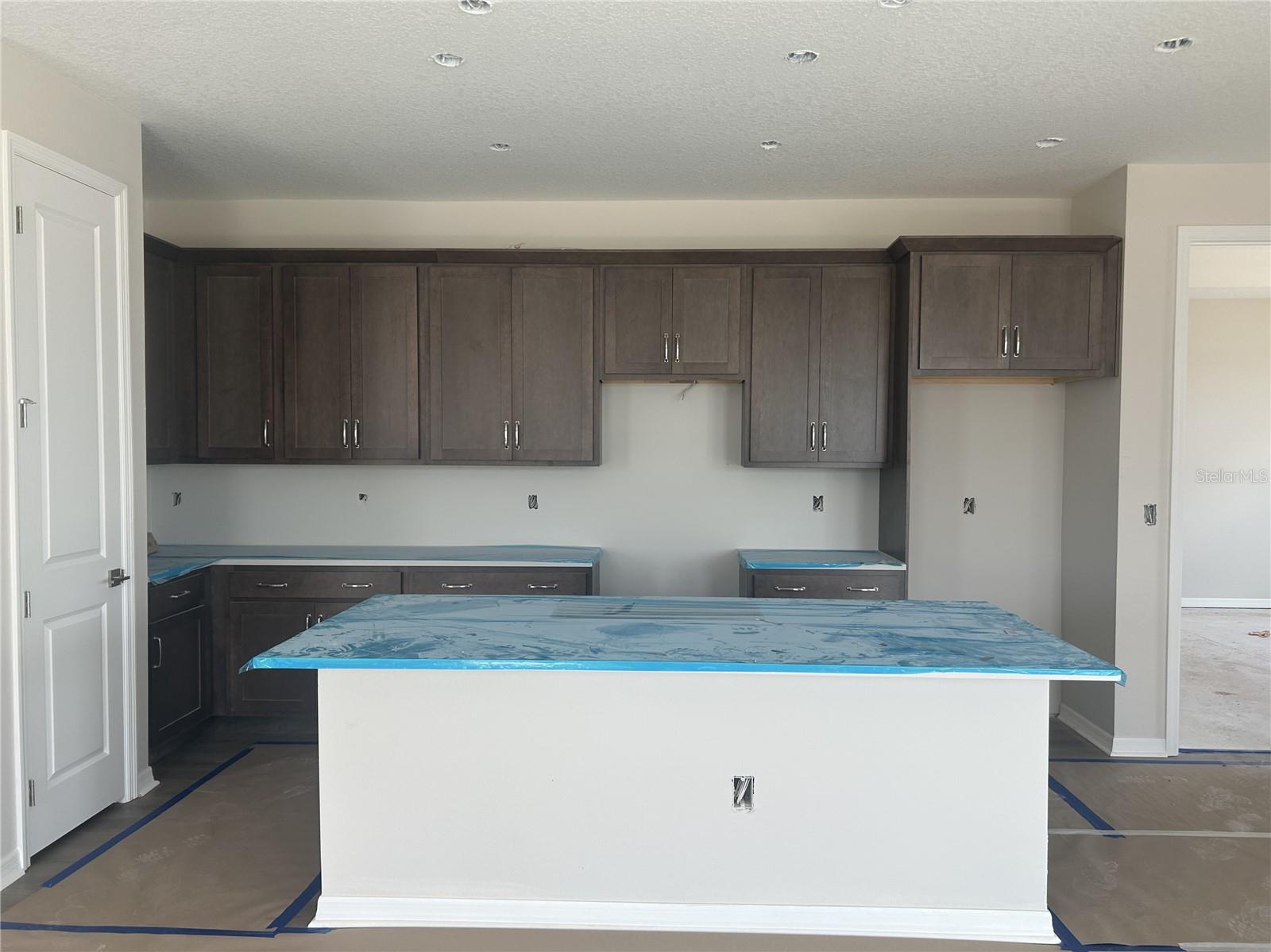 10155 HIDDEN HAMMOCK LOOP, PARRISH, FL, 34219