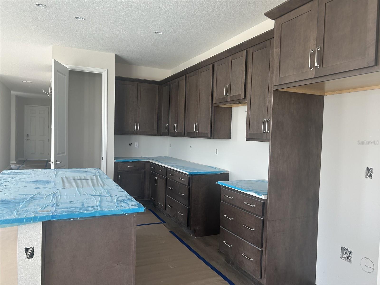 10155 HIDDEN HAMMOCK LOOP, PARRISH, FL, 34219