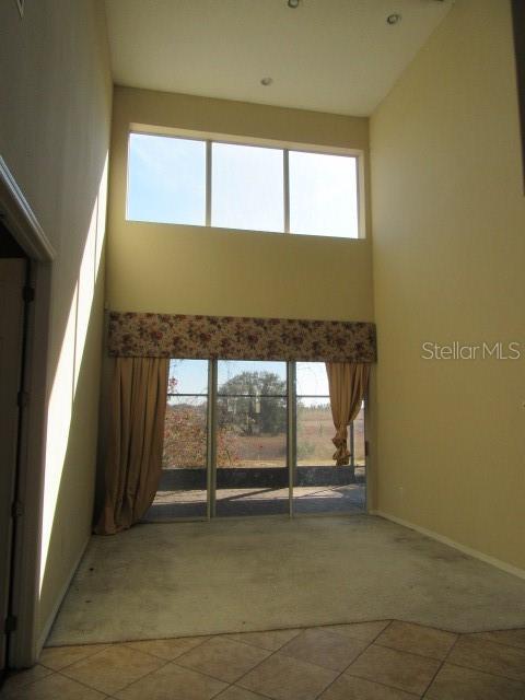 4509 POWDERHORN PLACE DR, CLERMONT, FL, 34711