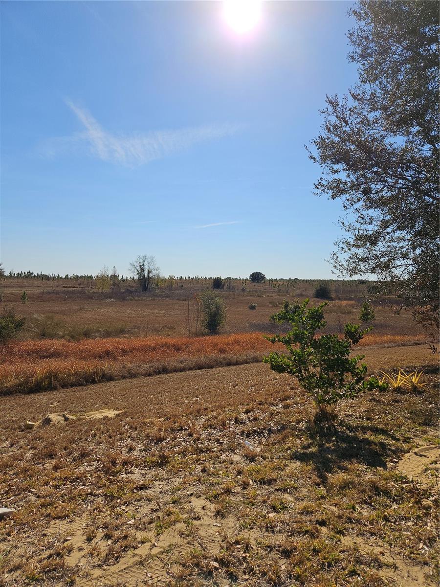 4509 POWDERHORN PLACE DR, CLERMONT, FL, 34711