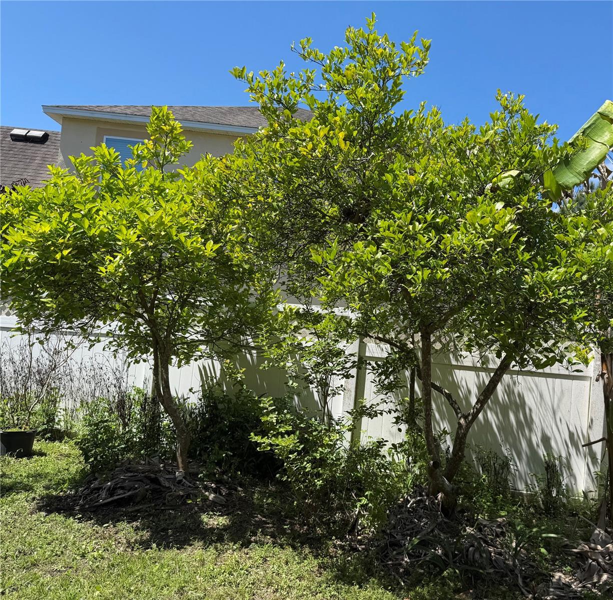 2803 MOONSTONE BND, KISSIMMEE, FL, 34758