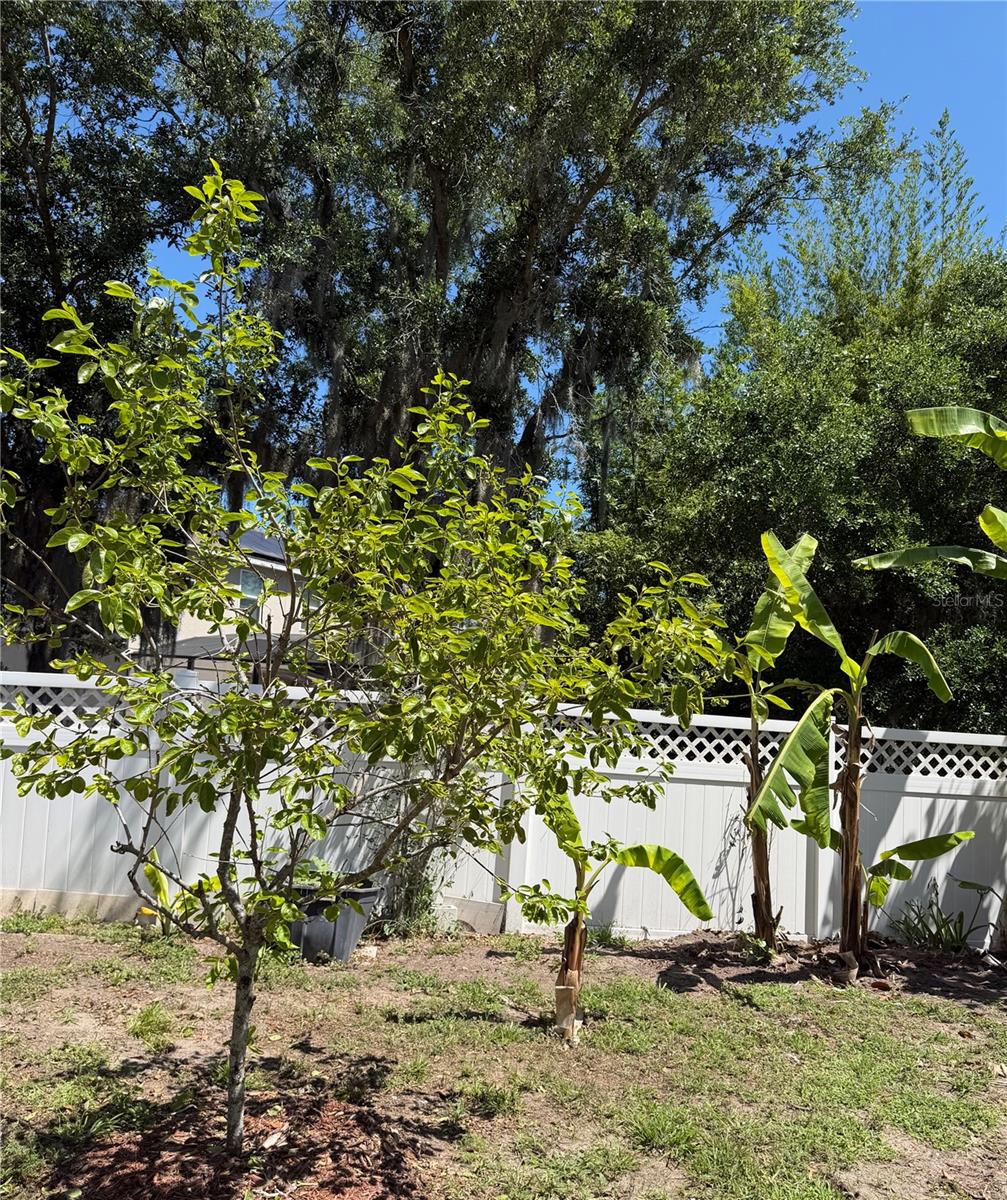 2803 MOONSTONE BND, KISSIMMEE, FL, 34758