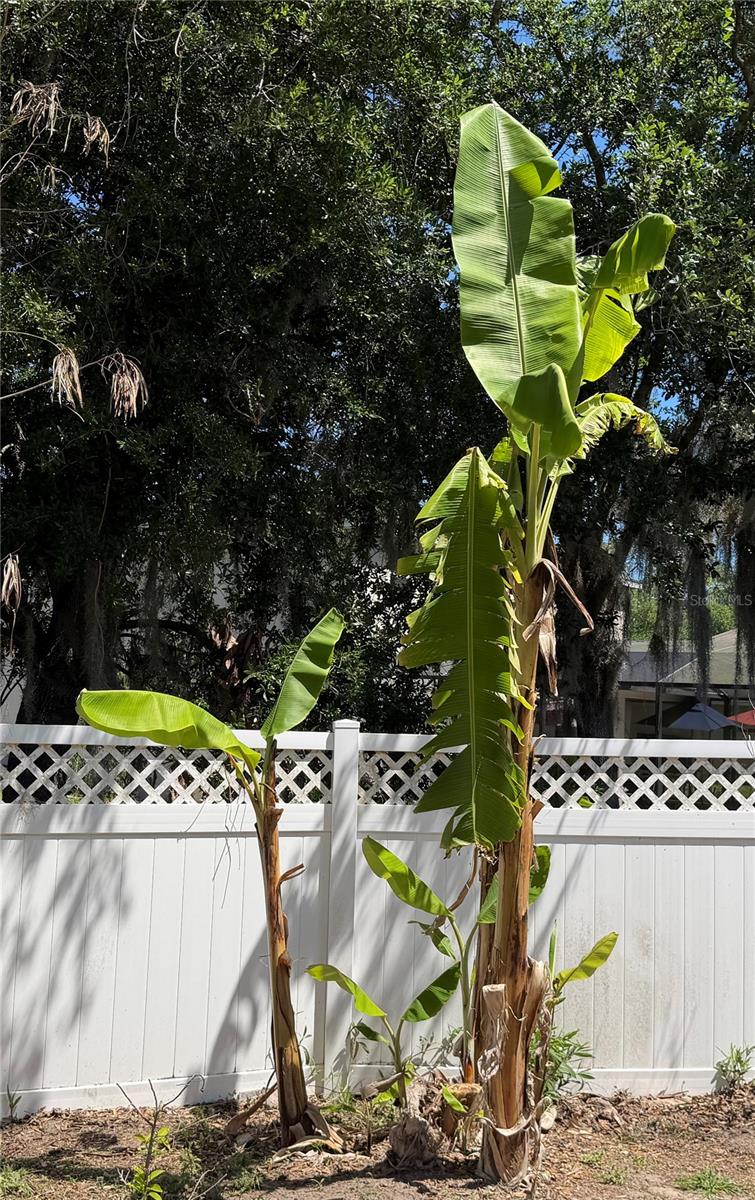 2803 MOONSTONE BND, KISSIMMEE, FL, 34758