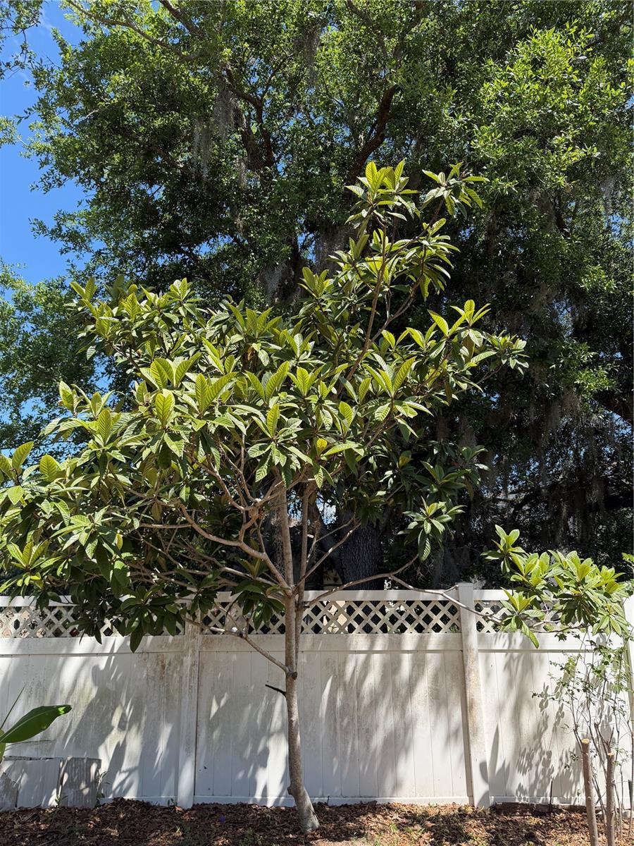 2803 MOONSTONE BND, KISSIMMEE, FL, 34758