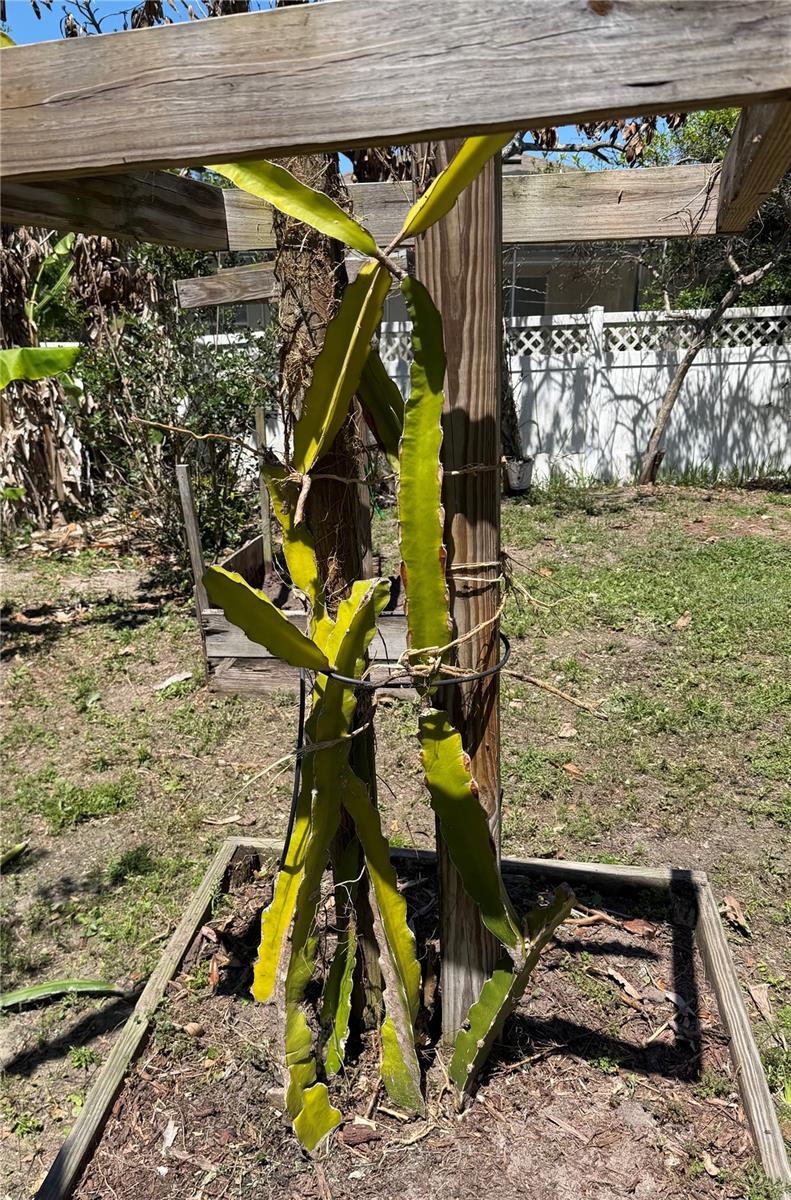 2803 MOONSTONE BND, KISSIMMEE, FL, 34758