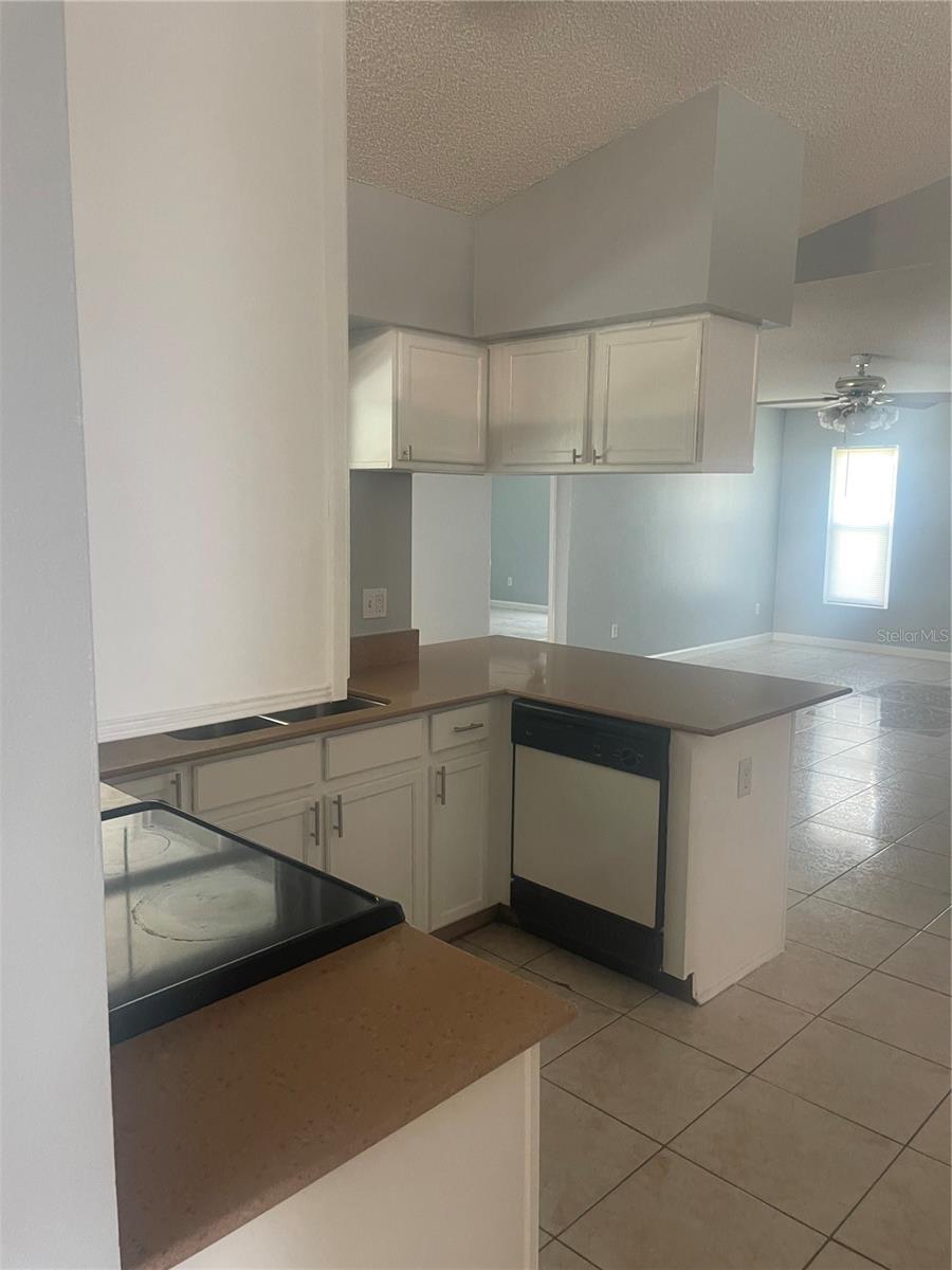 116 CRESCENT CT, KISSIMMEE, FL, 34758