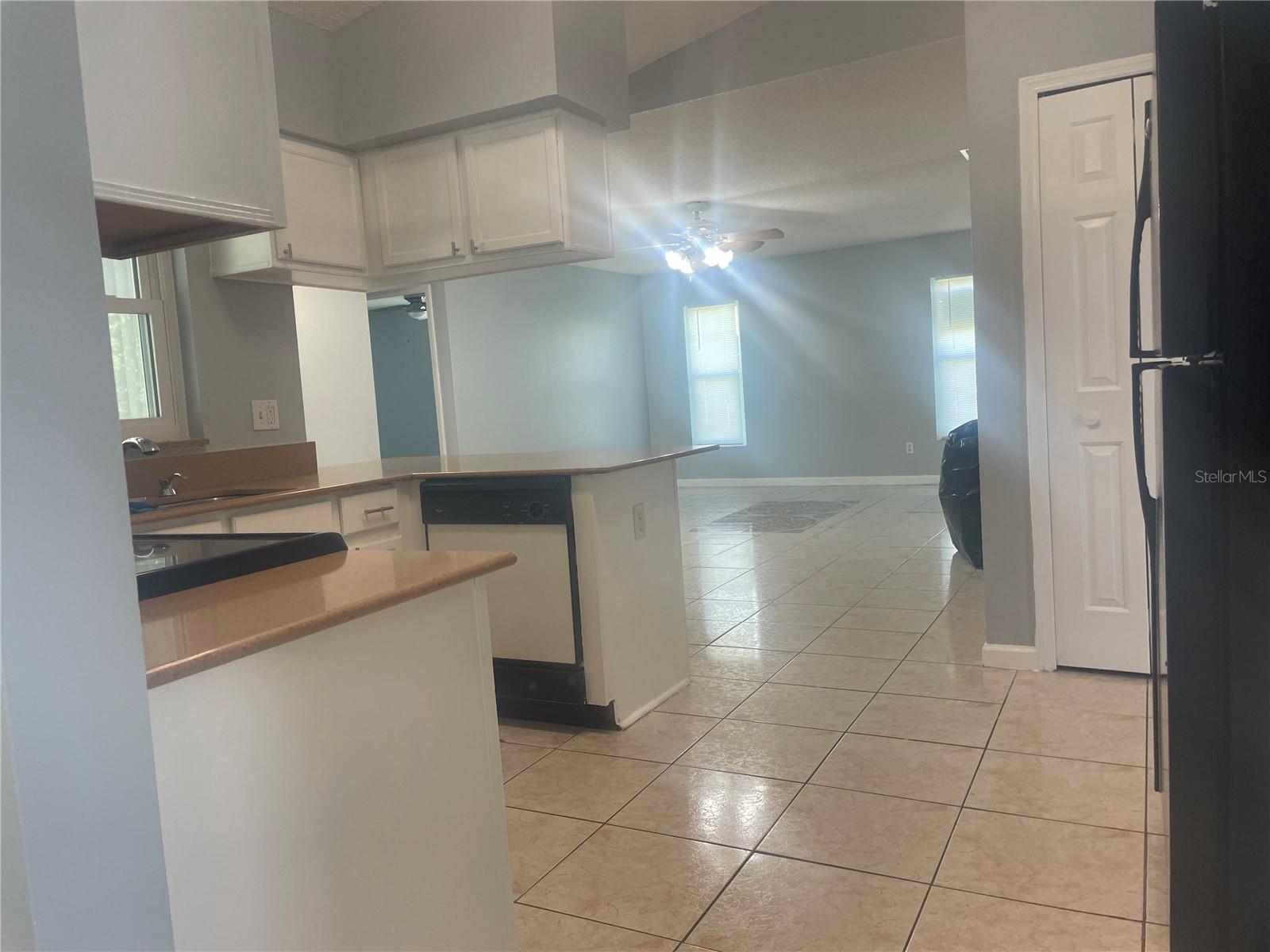 116 CRESCENT CT, KISSIMMEE, FL, 34758