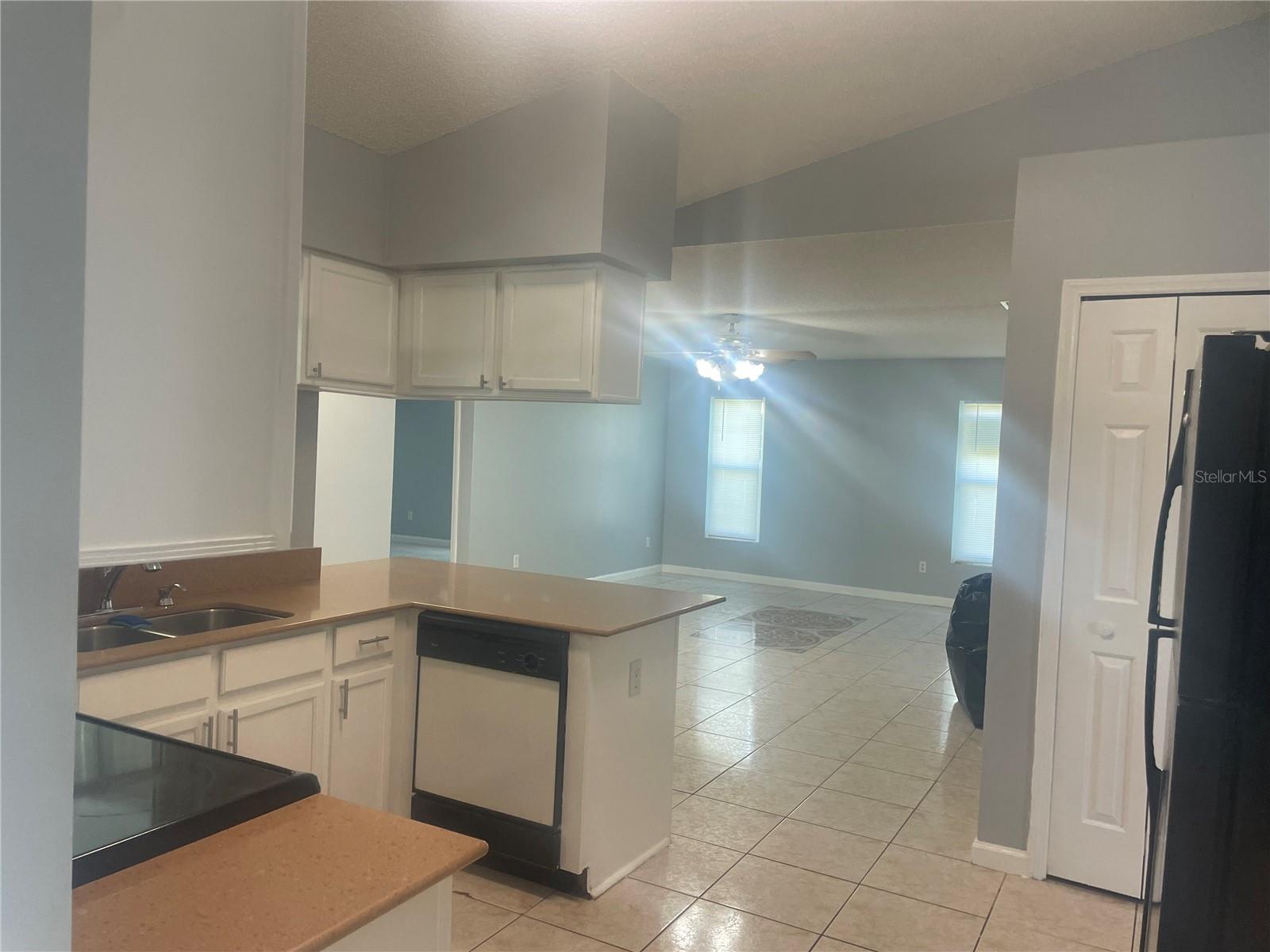 116 CRESCENT CT, KISSIMMEE, FL, 34758
