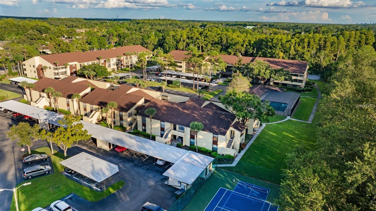 13608 S VILLAGE DR #7204, TAMPA, FL, 33618