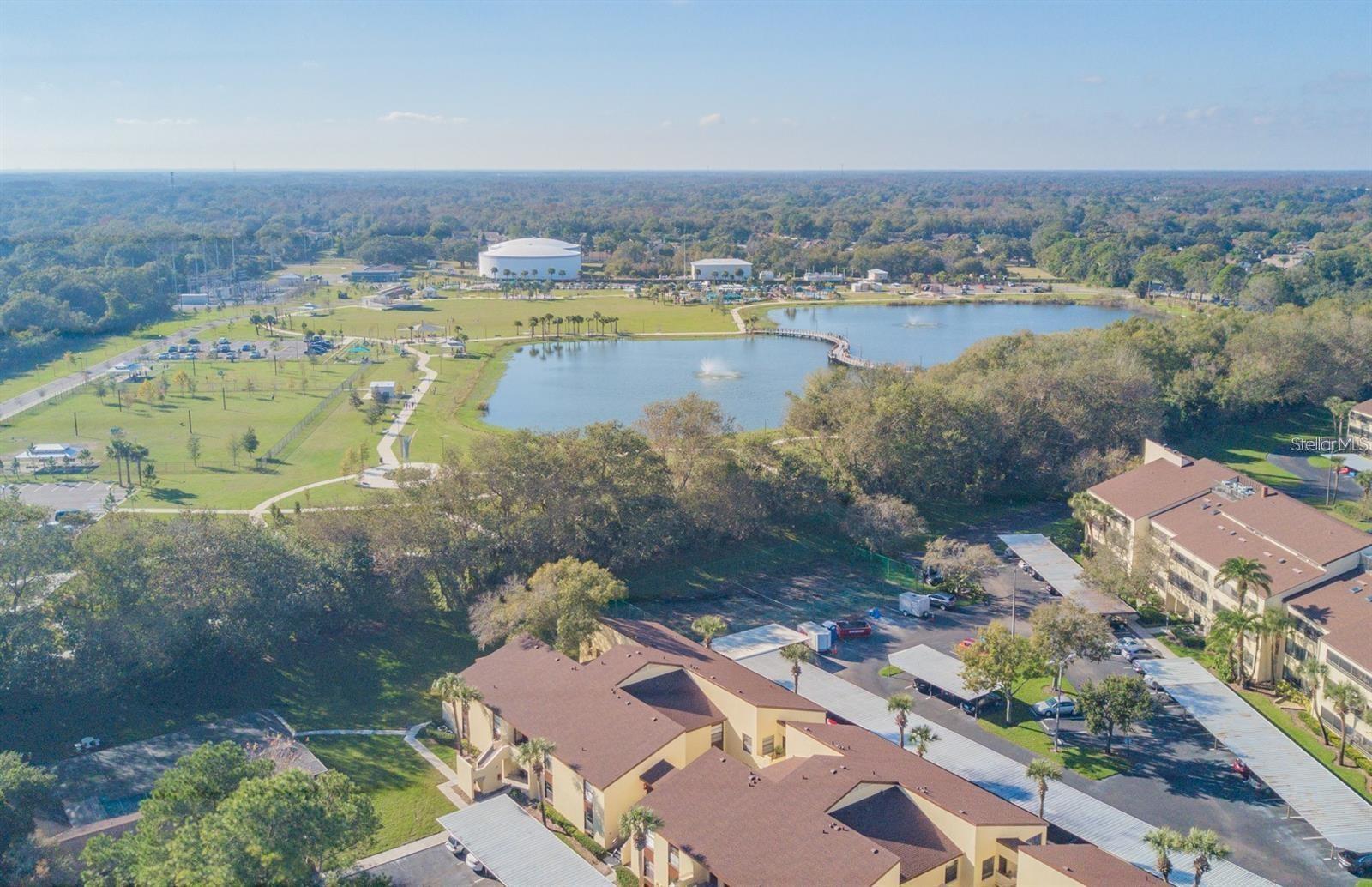 13608 S VILLAGE DR #7204, TAMPA, FL, 33618