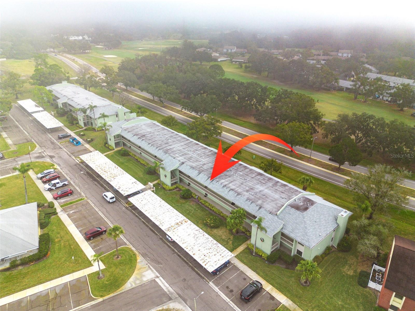 218 CARYL WAY, OLDSMAR, FL, 34677
