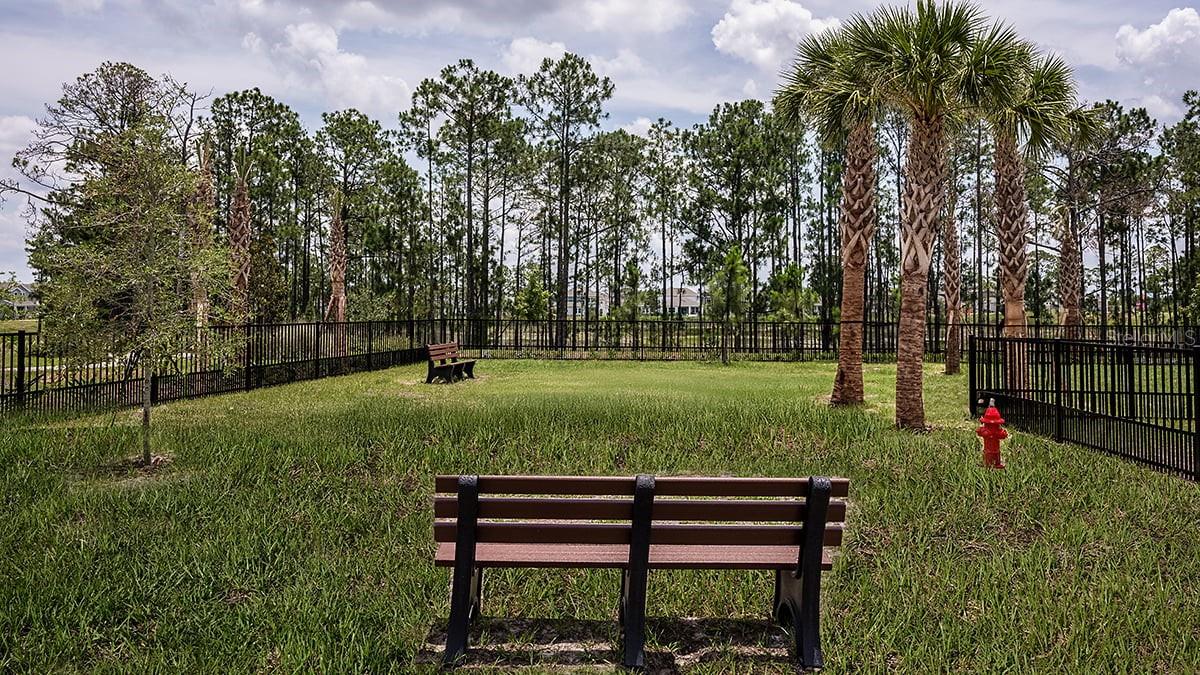 12983 HARVEST RAIN AVE, WINTER GARDEN, FL, 34787