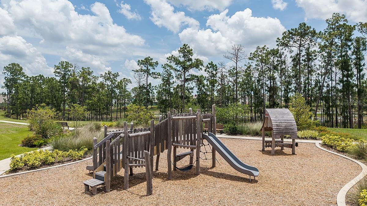 12983 HARVEST RAIN AVE, WINTER GARDEN, FL, 34787