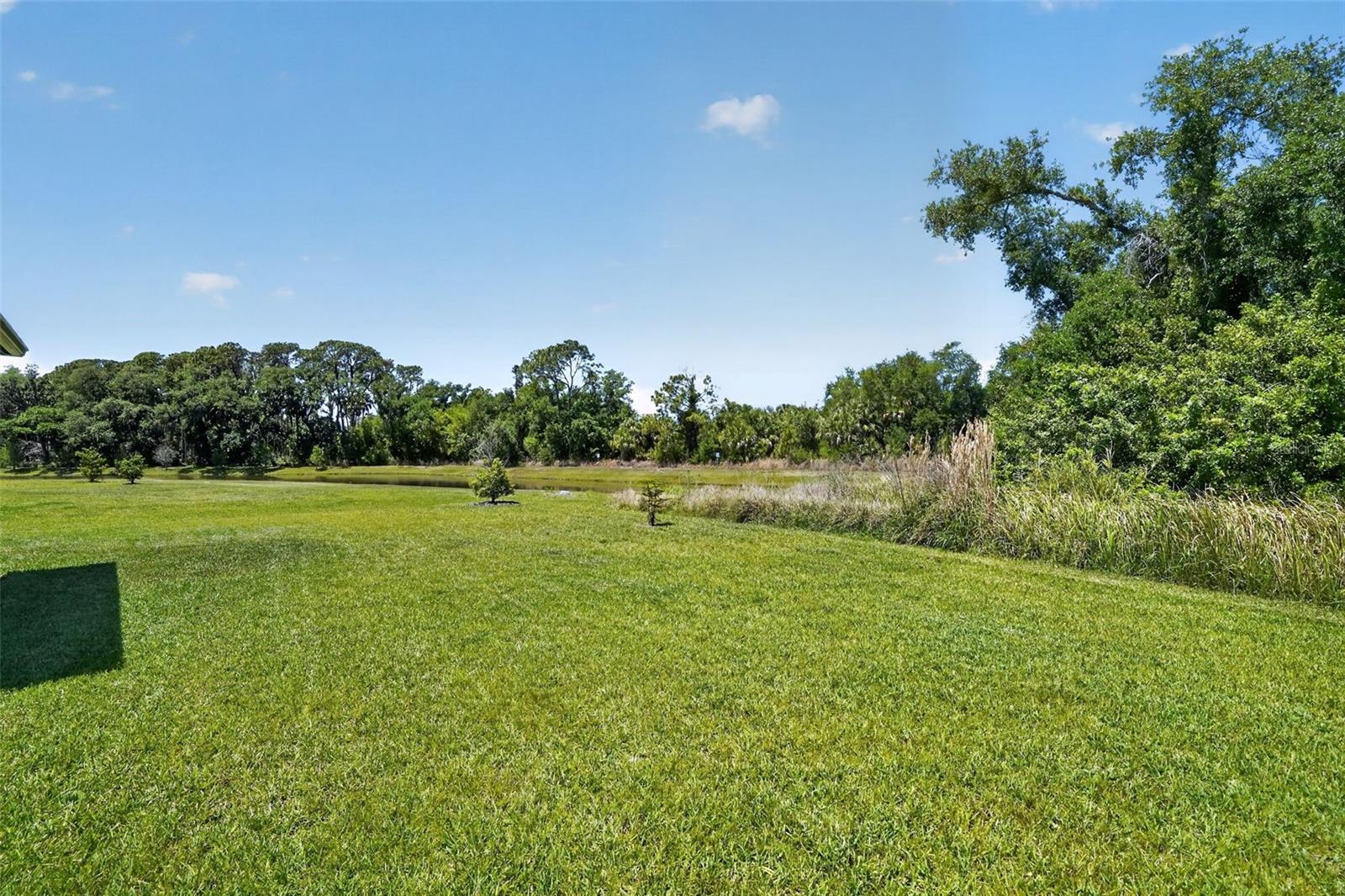 8131 TEA OLIVE TER, PALMETTO, FL, 34221