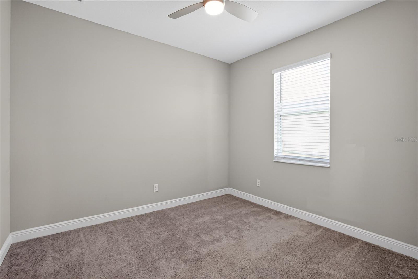 8131 TEA OLIVE TER, PALMETTO, FL, 34221