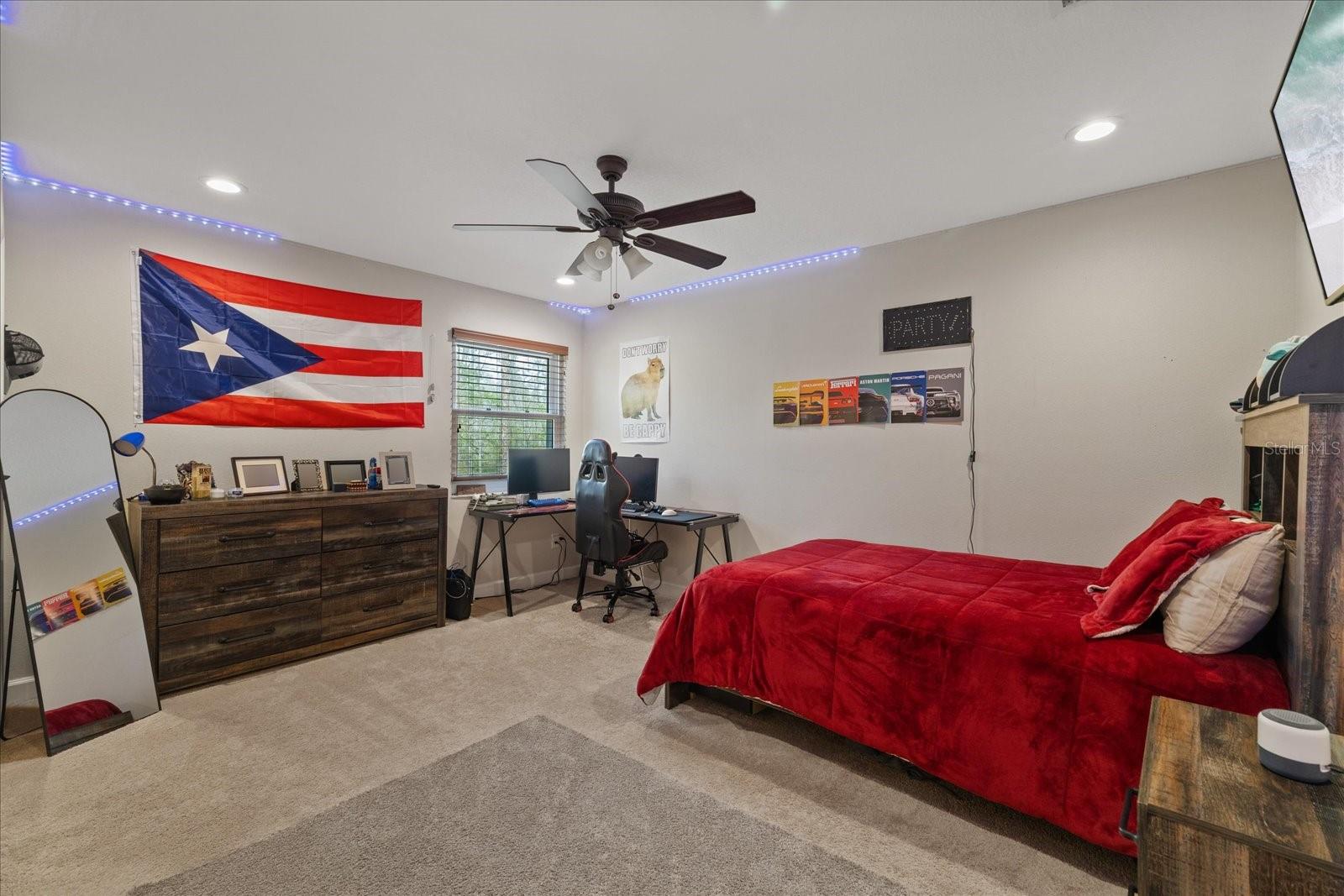 27625 LINCOLN PL, WESLEY CHAPEL, FL, 33544