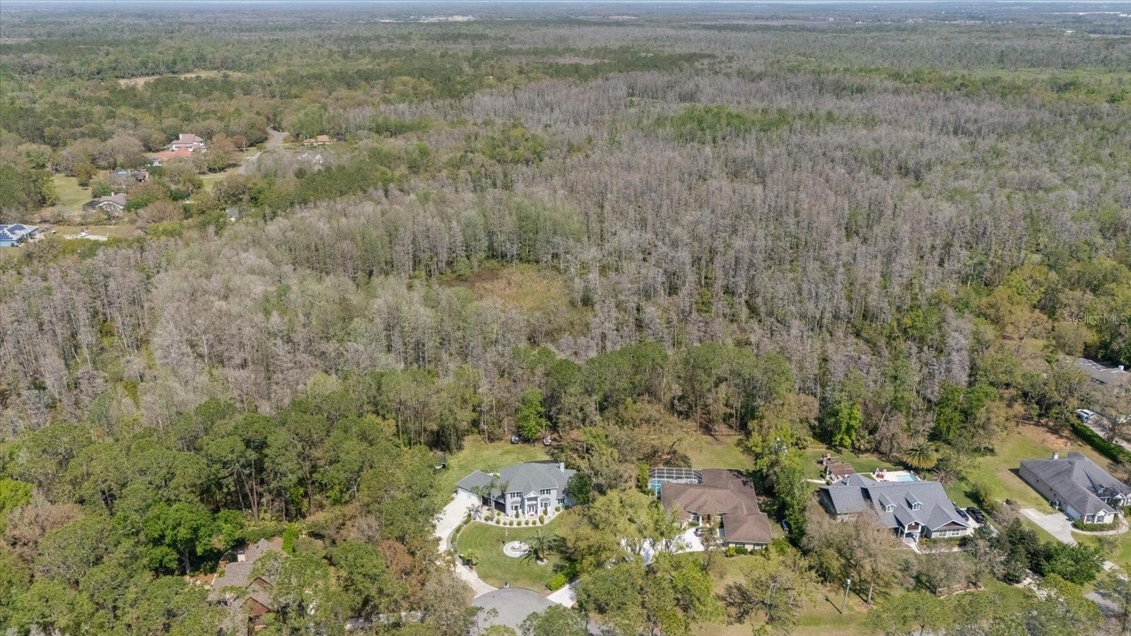 27625 LINCOLN PL, WESLEY CHAPEL, FL, 33544