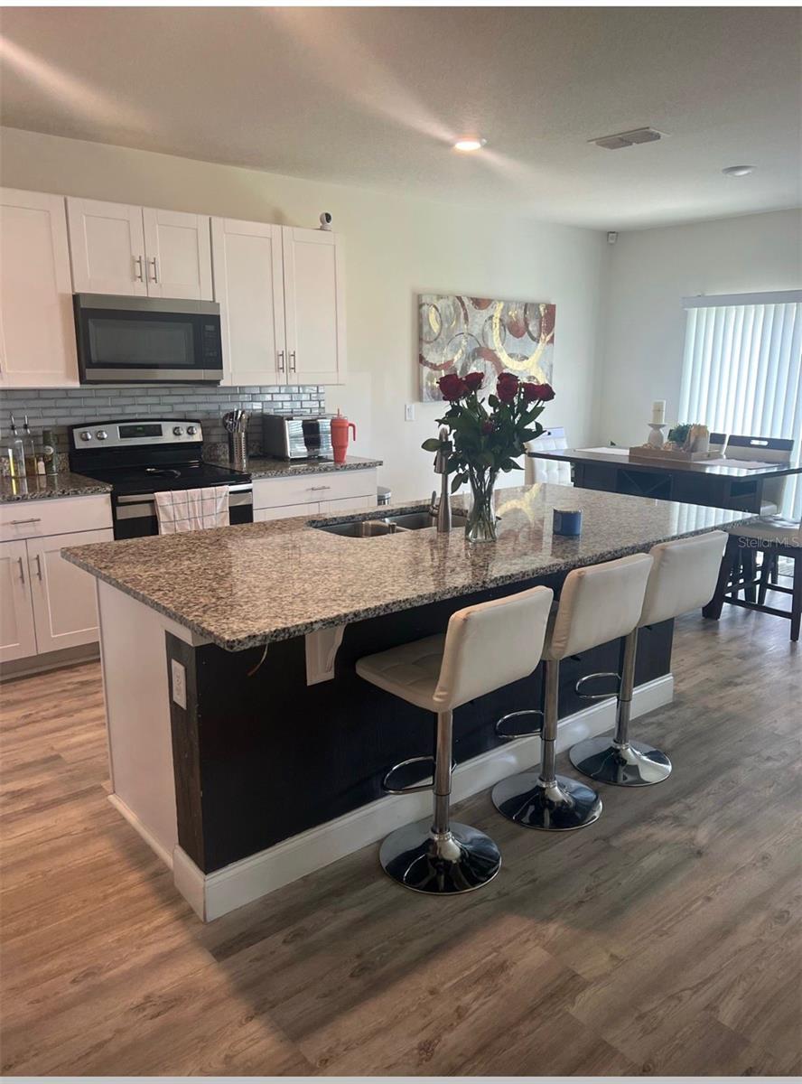3340 PERENNIAL LN, KISSIMMEE, FL, 34746