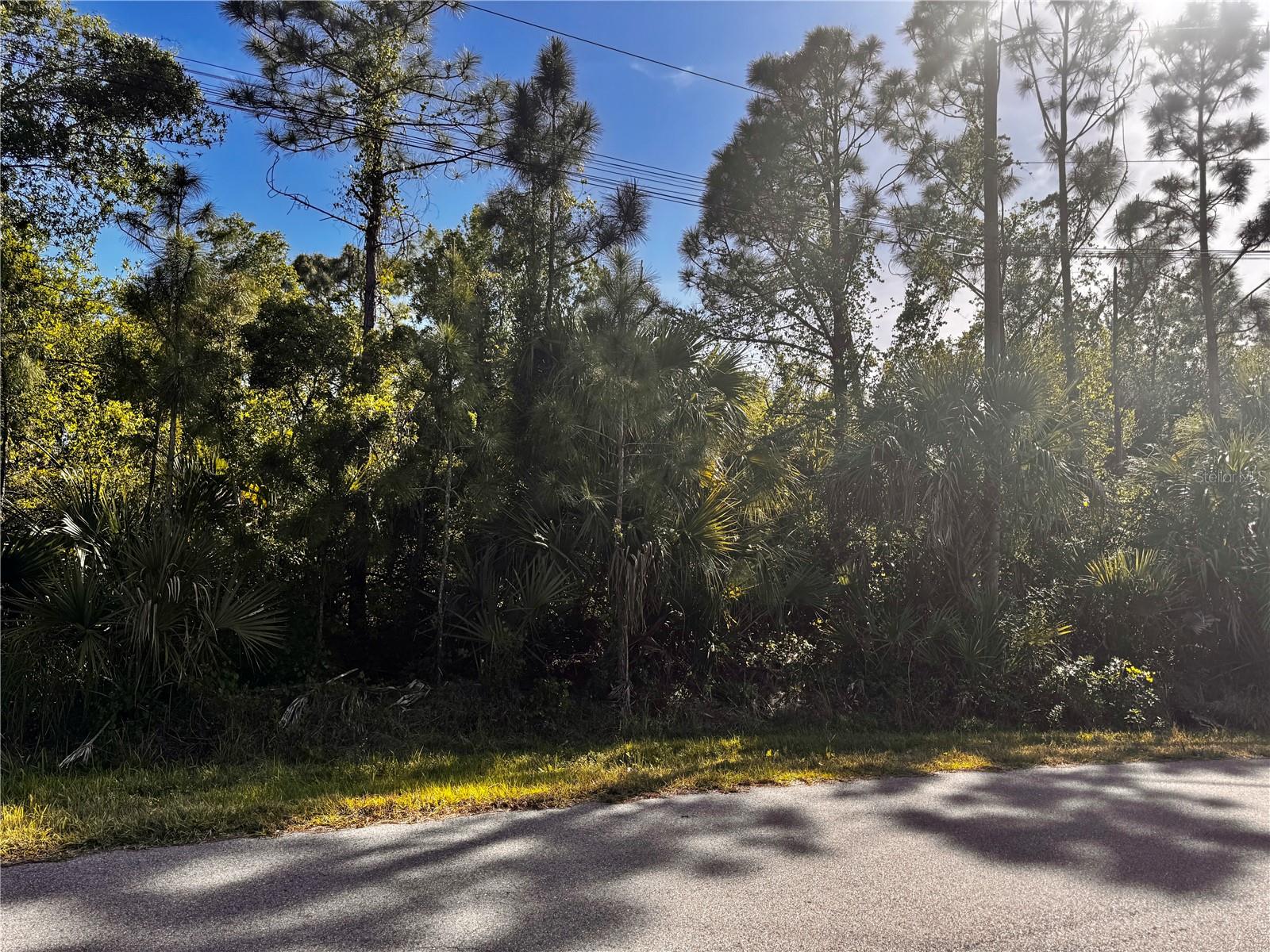 SAWYER CIR, NORTH PORT, FL, 34288