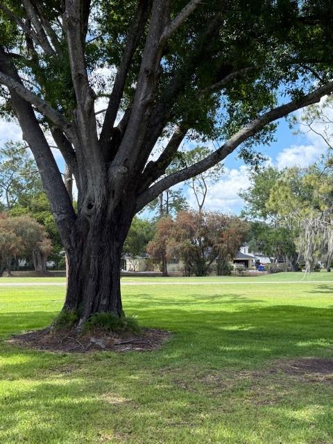 400 S HOWARD AVE, LAKELAND, FL, 33815