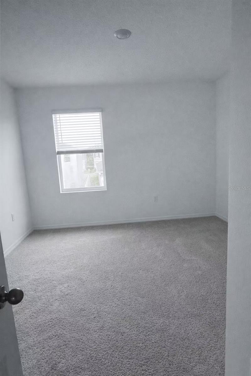 32463 WEATHERED OAK RIVER, WESLEY CHAPEL, FL, 33543