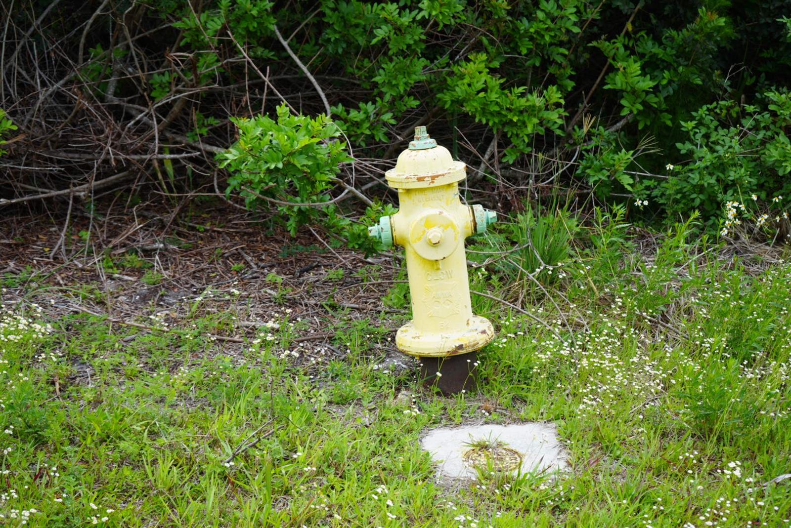 167 REDWOOD RD, ROTONDA WEST, FL, 33947