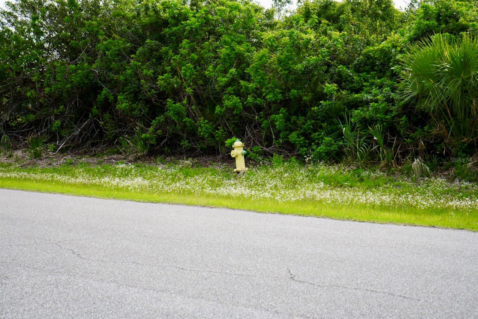 167 REDWOOD RD, ROTONDA WEST, FL, 33947